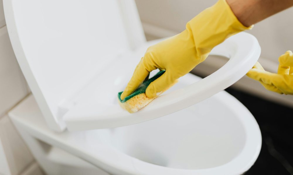 pexels-karolina-grabowska-4239069